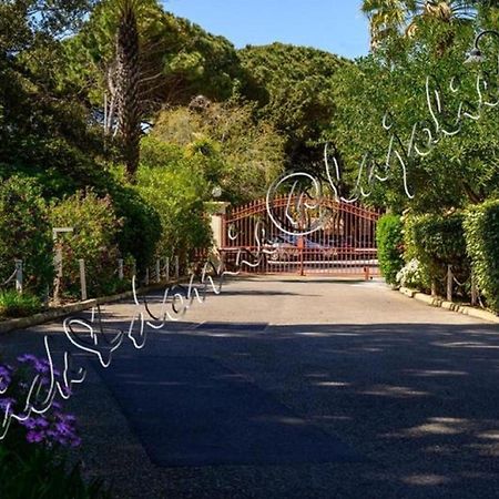 Magnifique Parc De La Presqu'Ile Avec Piscine Et Plage Face A Porquerolles ! Hyères Exteriör bild