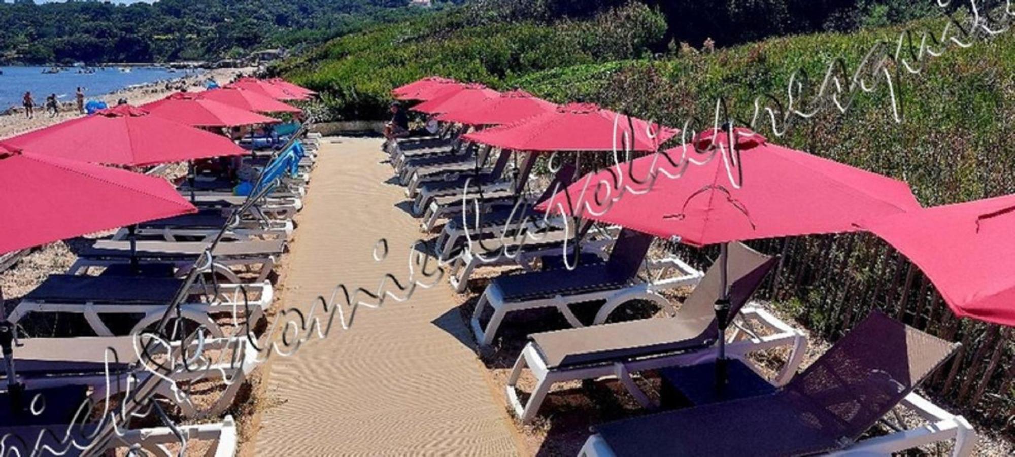 Magnifique Parc De La Presqu'Ile Avec Piscine Et Plage Face A Porquerolles ! Hyères Exteriör bild