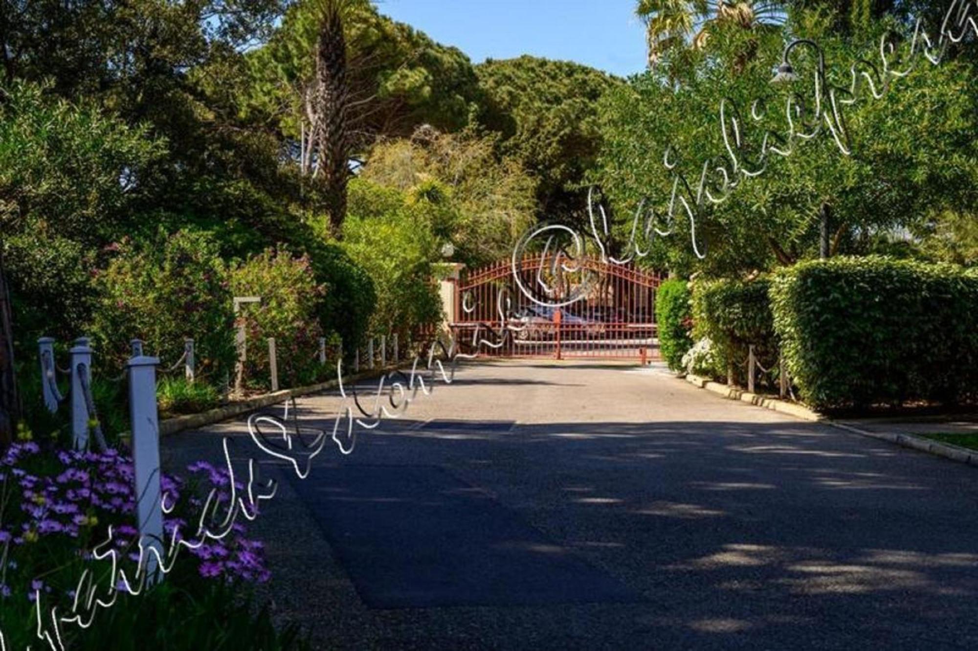 Magnifique Parc De La Presqu'Ile Avec Piscine Et Plage Face A Porquerolles ! Hyères Exteriör bild