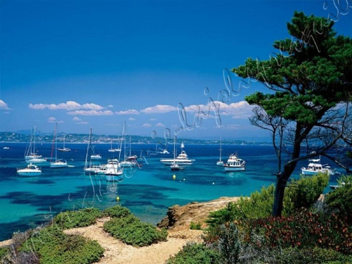 Magnifique Parc De La Presqu'Ile Avec Piscine Et Plage Face A Porquerolles ! Hyères Exteriör bild