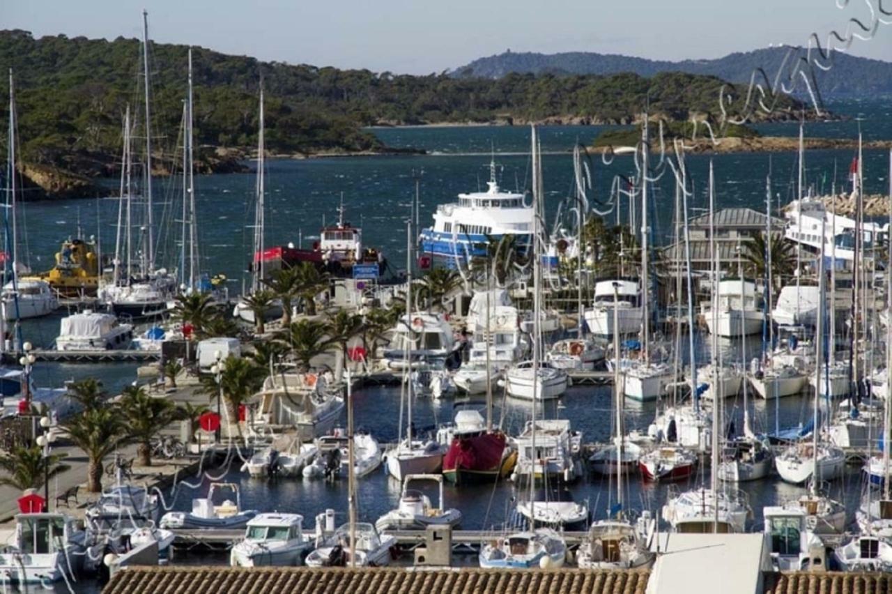 Magnifique Parc De La Presqu'Ile Avec Piscine Et Plage Face A Porquerolles ! Hyères Exteriör bild