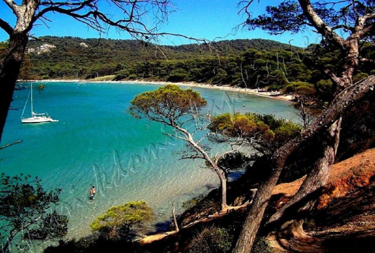 Magnifique Parc De La Presqu'Ile Avec Piscine Et Plage Face A Porquerolles ! Hyères Exteriör bild