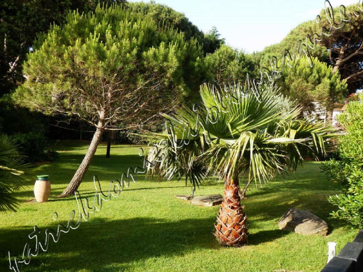 Magnifique Parc De La Presqu'Ile Avec Piscine Et Plage Face A Porquerolles ! Hyères Exteriör bild